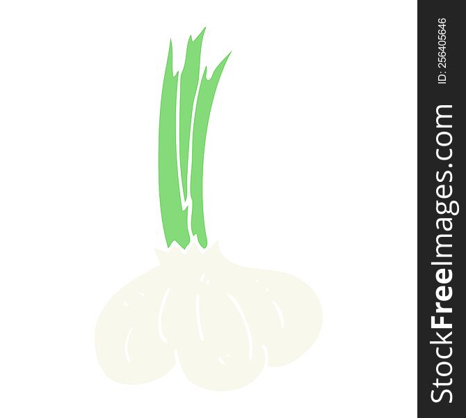 flat color illustration of garlic. flat color illustration of garlic