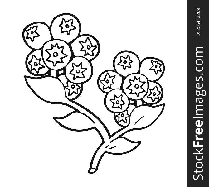 freehand drawn black and white cartoon blueberries