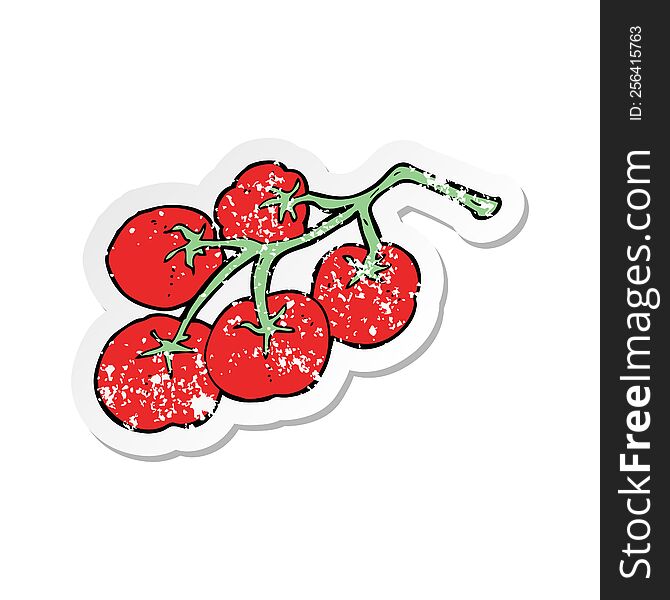 retro distressed sticker of a tomatoes on vine illustration