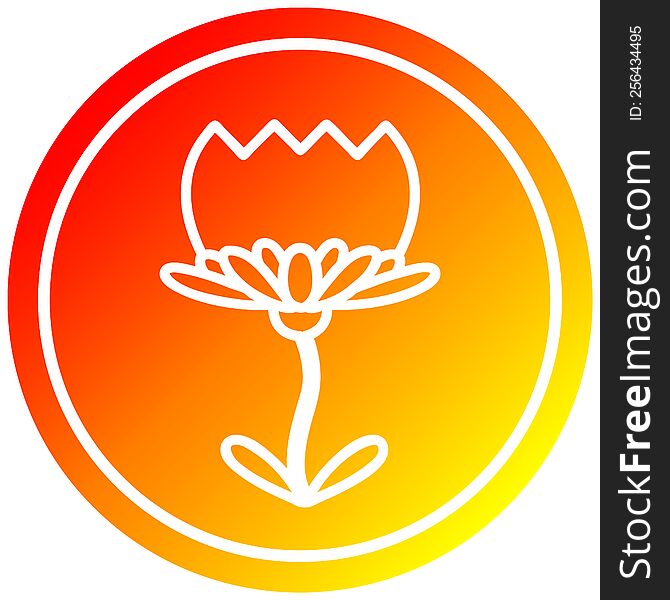 Lotus Flower Circular In Hot Gradient Spectrum