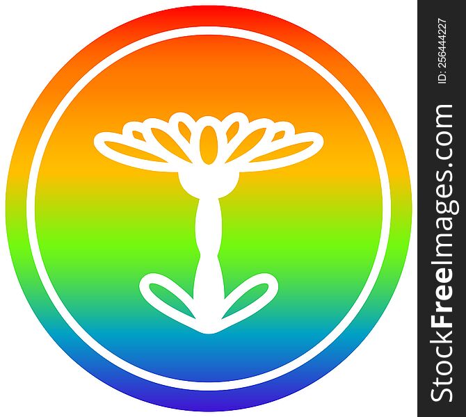 blooming flower circular icon with rainbow gradient finish. blooming flower circular icon with rainbow gradient finish