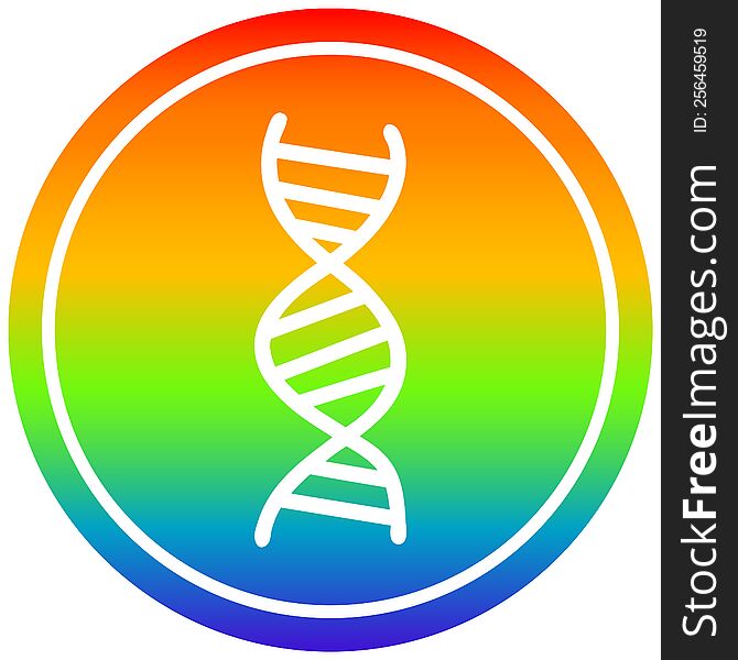 DNA chain circular icon with rainbow gradient finish. DNA chain circular icon with rainbow gradient finish