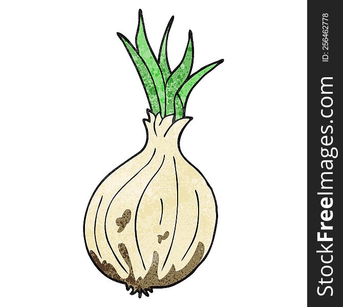 texture cartoon onion