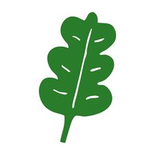 Free Cartoon Doodle Oak Leaf Stock Photography - 256483402