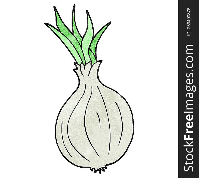 freehand textured cartoon onion