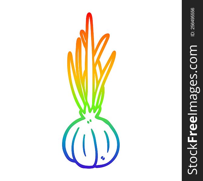 rainbow gradient line drawing of a garlic bulb
