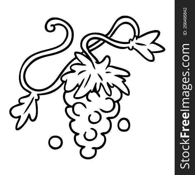 Line Drawing Doodle Of Grapes On Vine