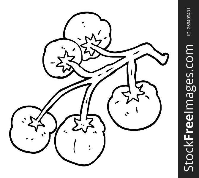 Line Drawing Cartoon Tomatoes On Vine