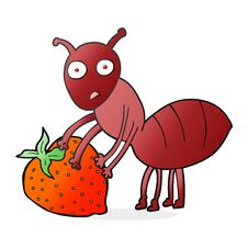 Cartoon Ant With Berry Stock Images