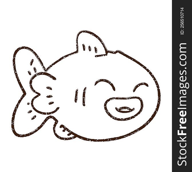 Goldfish Charcoal Drawing