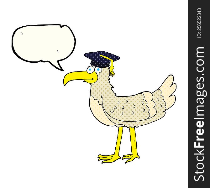 freehand drawn comic book speech bubble cartoon seagull with graduate cap