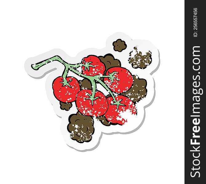 retro distressed sticker of a green tomatoes on vine illustration