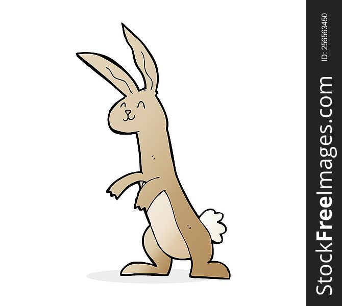 cartoon rabbit