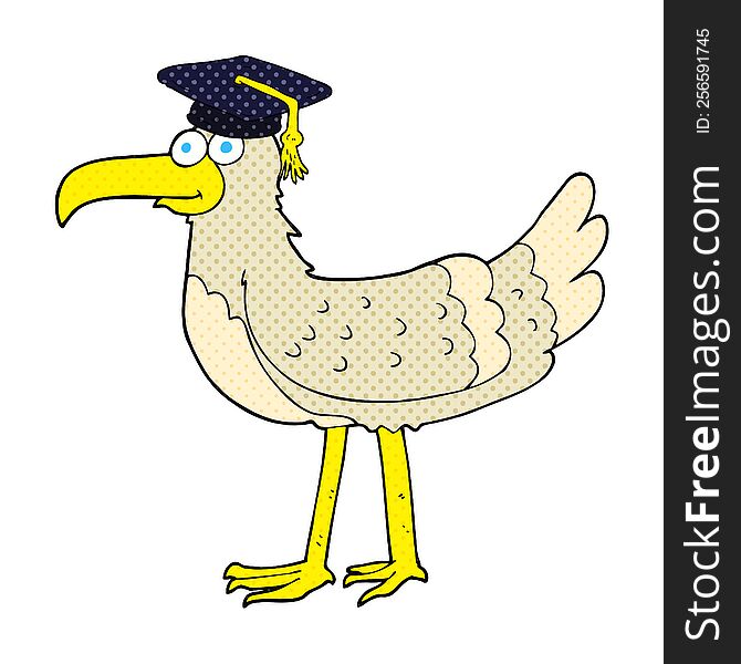 freehand drawn cartoon seagull with graduate cap