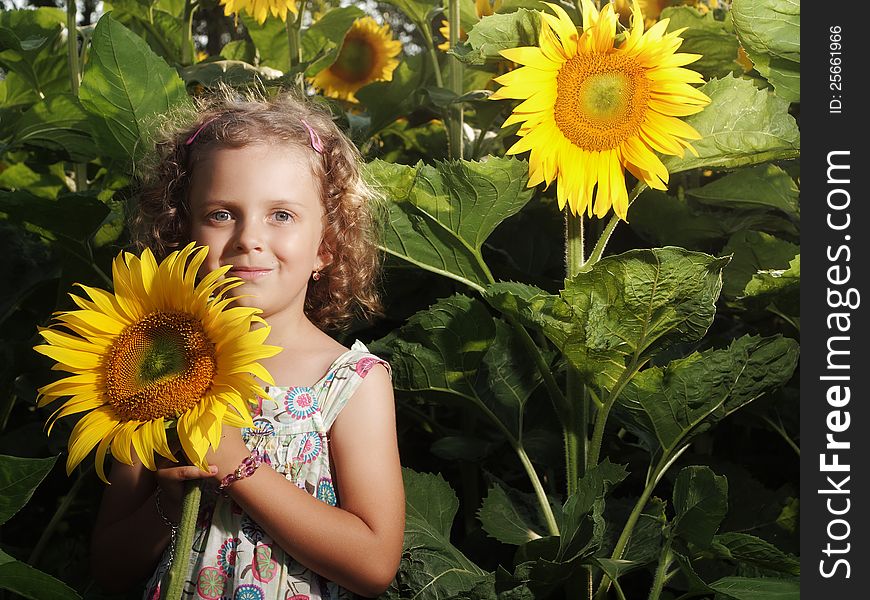 Little girl holding big sunflower. Little girl holding big sunflower