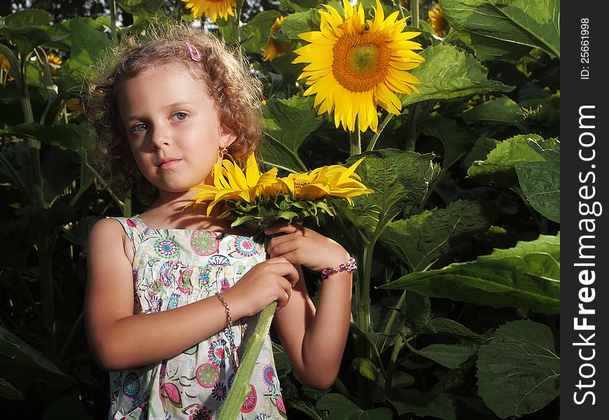 Little girl holding big sunflower. Little girl holding big sunflower