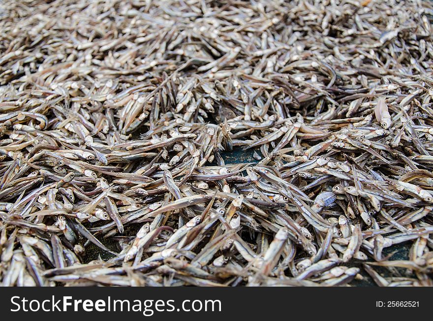 The dried fish in east of Thailand