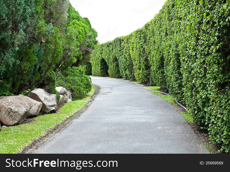 Beautiful park garden in spring