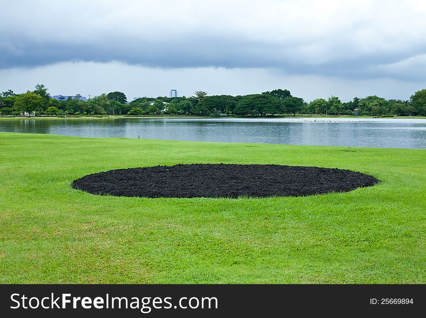 Beautiful park garden in spring