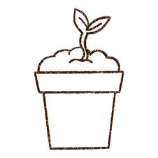 Potted Plant Charcoal Drawing Stock Images