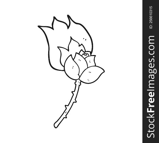 freehand drawn black and white cartoon rose