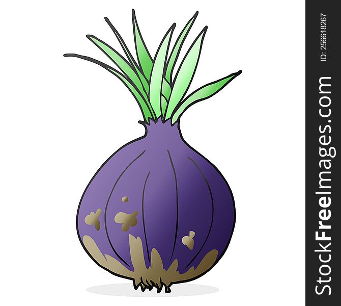 Cartoon Onion