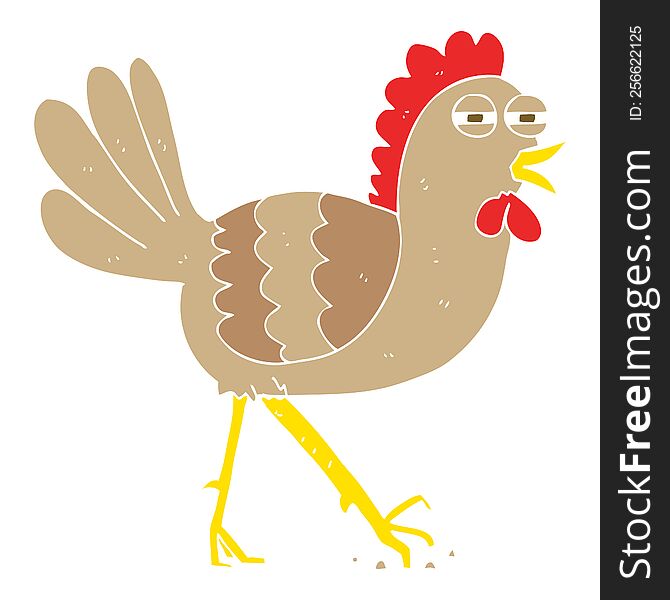 flat color illustration of chicken. flat color illustration of chicken