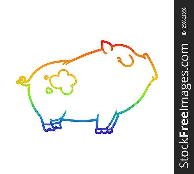 rainbow gradient line drawing of a cartoon pig