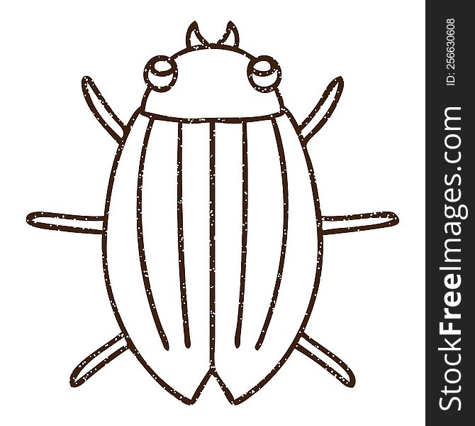 Beetle Charcoal Drawing