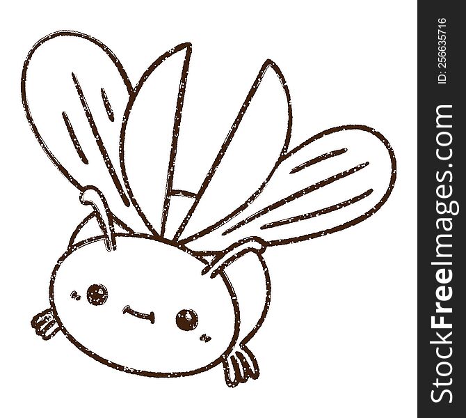 Flying Bug Charcoal Drawing