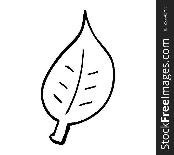 line drawing cartoon autumnal leaf