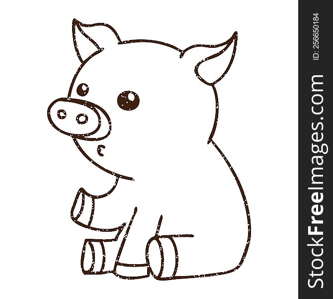 Sitting Pig Charcoal Drawing