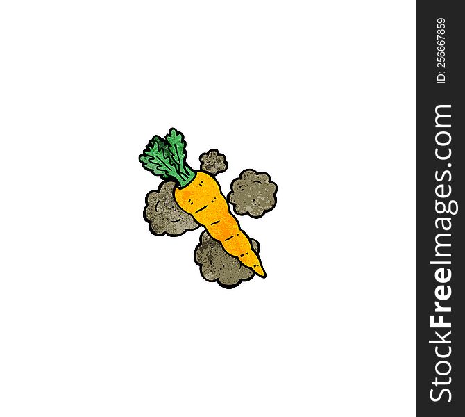cartoon organic carrot