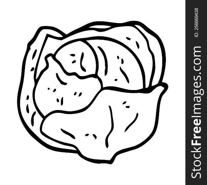 Line Drawing Cartoon Cabbage