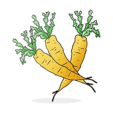 Cartoon Carrots Royalty Free Stock Images