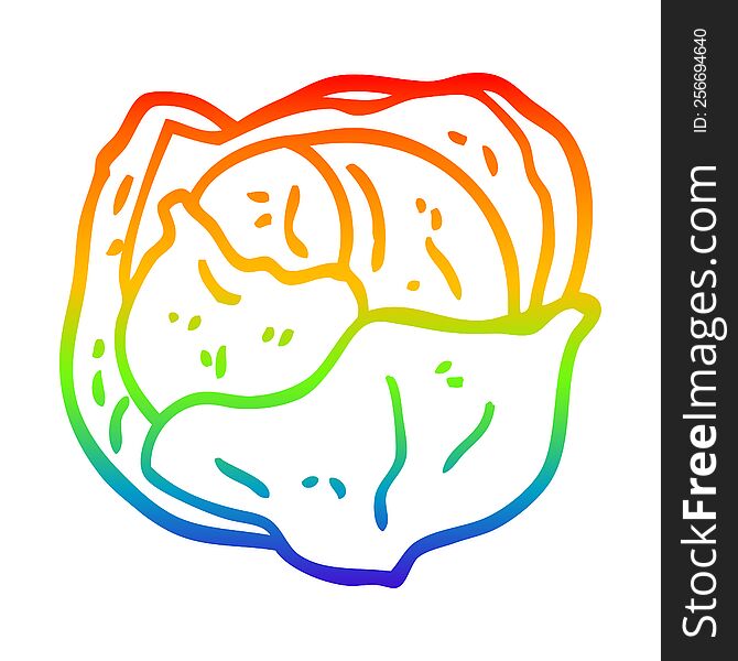 rainbow gradient line drawing of a cartoon cabbage