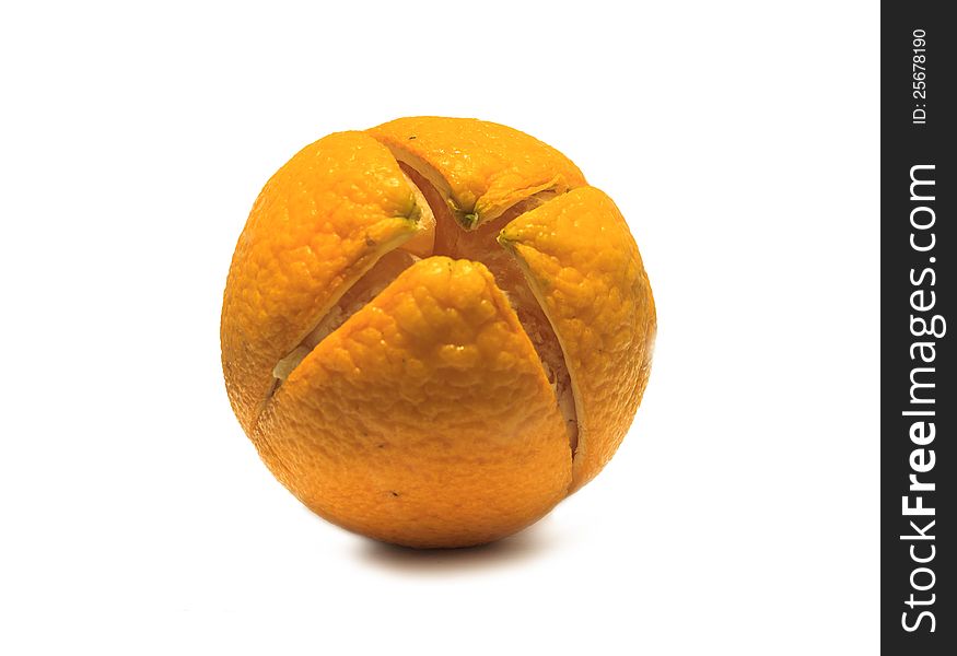 Orange  on a white background