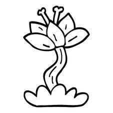 Line Drawing Cartoon Red Lilly Stock Photos