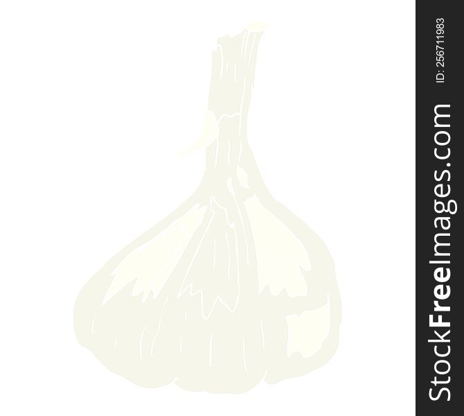 flat color illustration of garlic. flat color illustration of garlic