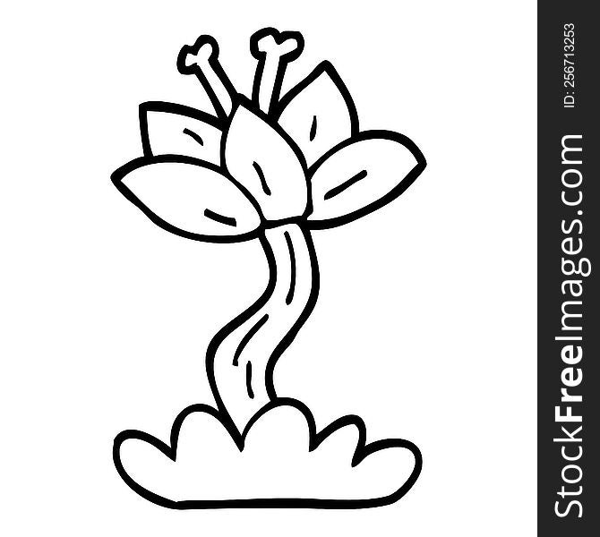 line drawing cartoon red lilly