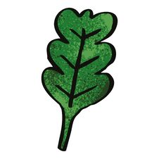 Free Cartoon Doodle Oak Leaf Royalty Free Stock Photography - 256729427