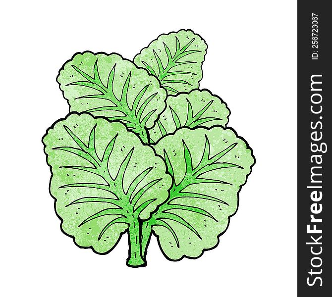 Cartoon Cabbage Leaves