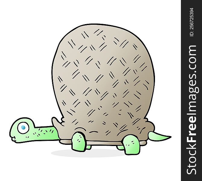 cartoon tortoise