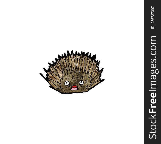 Cartoon Hedgehog