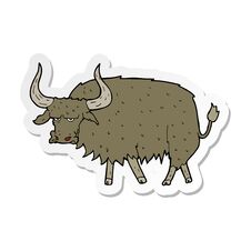 Sticker Of A Cartoon Annoyed Hairy Cow Stock Photo