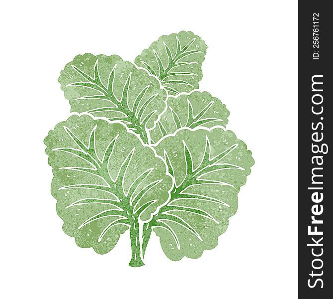 Cartoon Cabbage Leaves