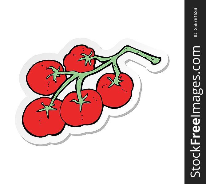 sticker of a tomatoes on vine illustration