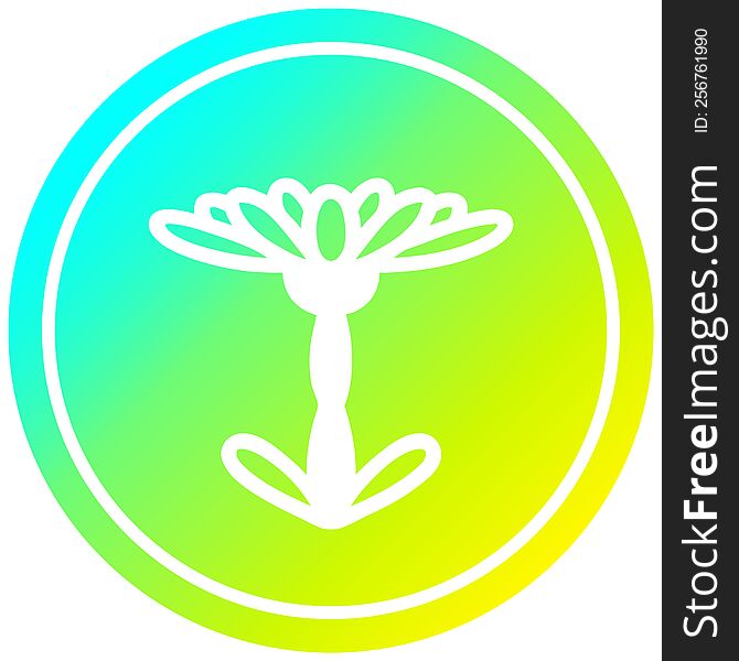 blooming flower circular icon with cool gradient finish. blooming flower circular icon with cool gradient finish