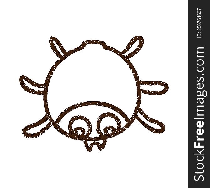 Beetle Charcoal Drawing