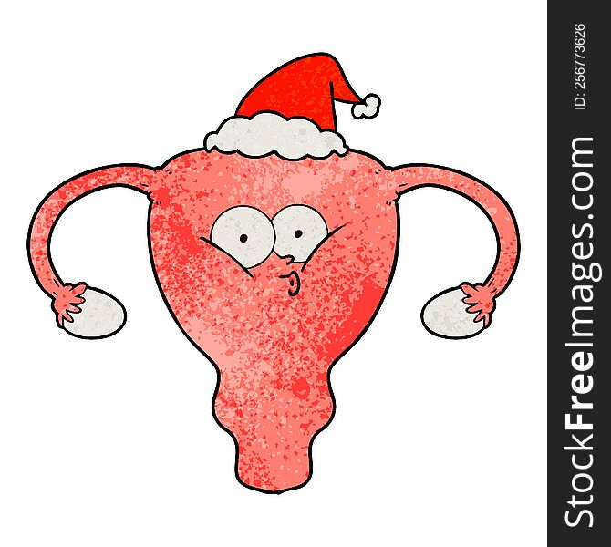 Textured Cartoon Of A Uterus Wearing Santa Hat